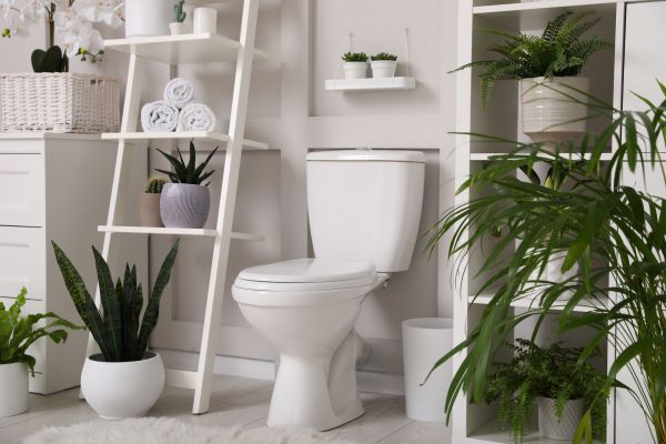 Cost of Toilet Repair in Winston Salem